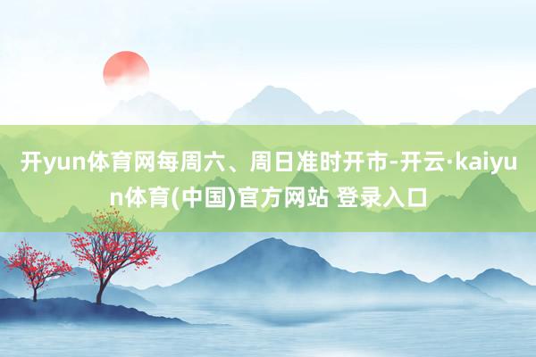 开yun体育网每周六、周日准时开市-开云·kaiyun体育(中国)官方网站 登录入口