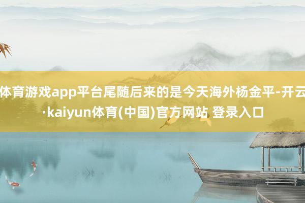 体育游戏app平台尾随后来的是今天海外杨金平-开云·kaiyun体育(中国)官方网站 登录入口