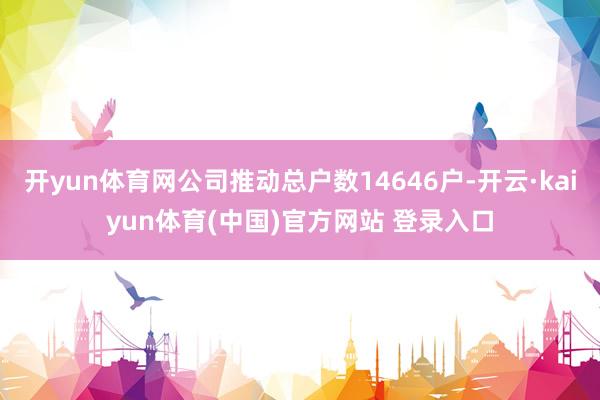 开yun体育网公司推动总户数14646户-开云·kaiyun体育(中国)官方网站 登录入口
